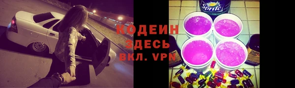 прущие крисы Гусев