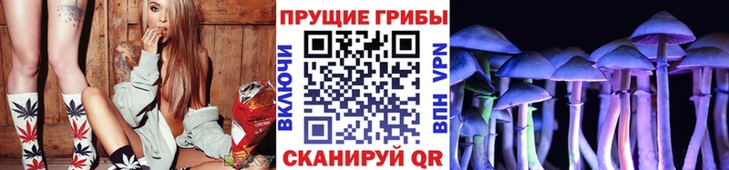 Псилоцибиновые грибы Cubensis  darknet клад  Архангельск 