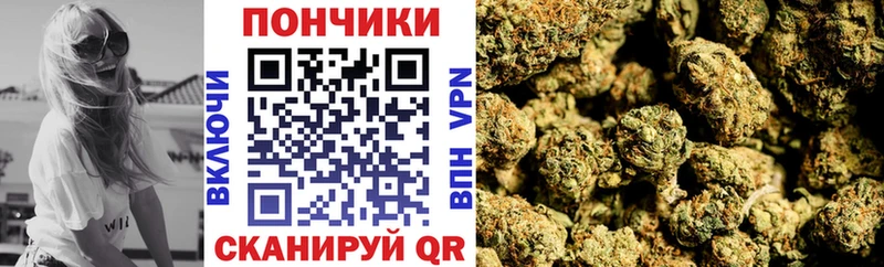 Конопля семена  где продают наркотики  Архангельск 